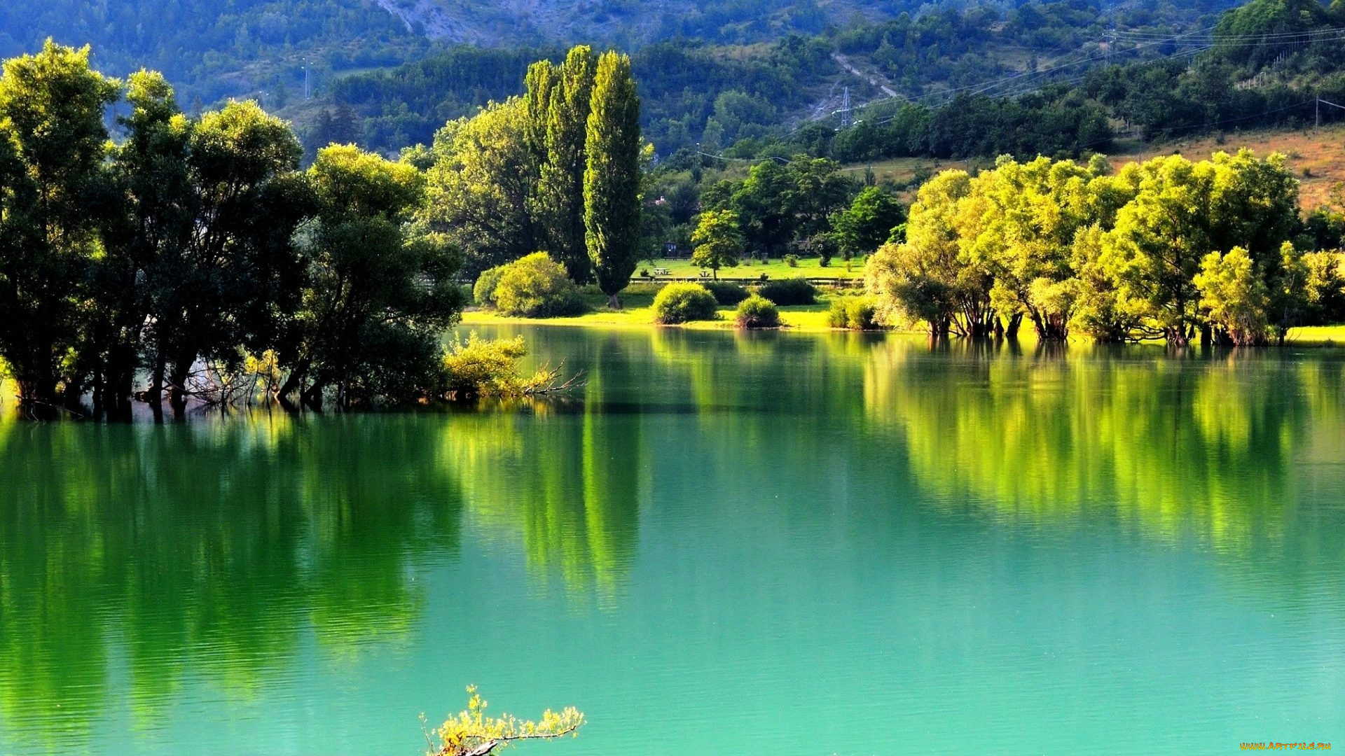Lake colour. Абруццо природа. Озеро Lago dei riflessi. Изумрудная природа. Речка с зеленью.